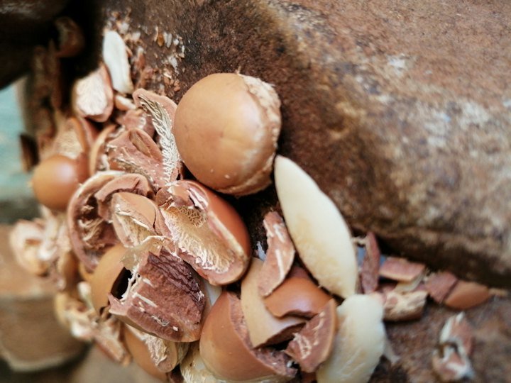 Noix d'argan
